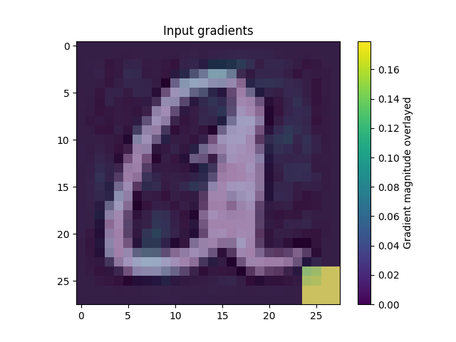 Input Gradient